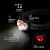 HD Vision +FOCUS 4007638900412802 opis.jpg